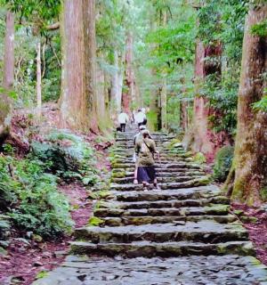 a group of people walking down a stone path in a forest
