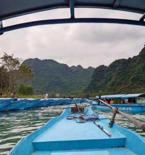 a group of blue boats in the water