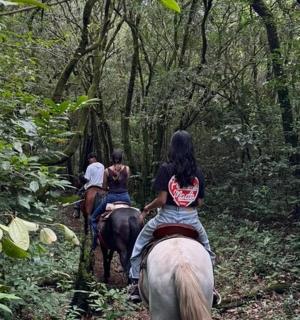 一群人骑马沿着小路前行