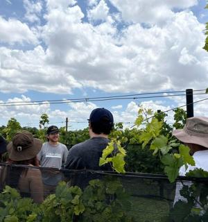 eine Gruppe von Menschen steht in einem Weinfeld