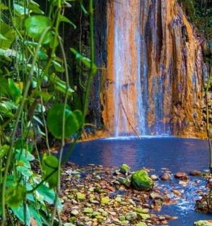 a waterfall in the middle of a forest