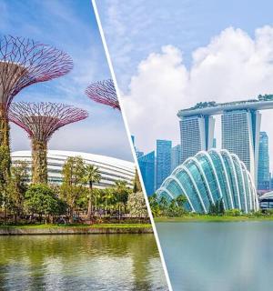 两张城市图片,画面中有树木和建筑物。