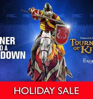 一名男子骑着马，手持枪支的海报