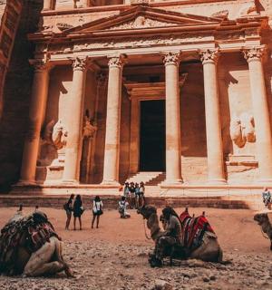 a group of animals sitting in front of a building