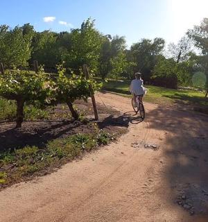 一个人骑着自行车沿着土路行驶
