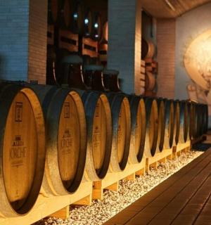 a row of wine barrels in a wine cellar