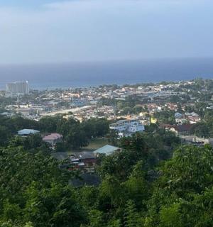 一座绿树成荫的城市，背景是大海。