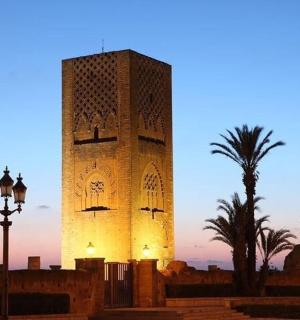 日落时分的钟楼,棕榈树和路灯