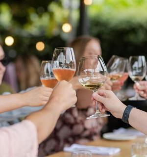 skupina lidí držících sklenice na víno