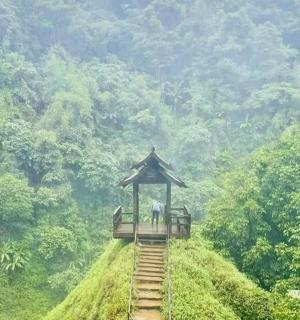 two people standing on a stand on a hill