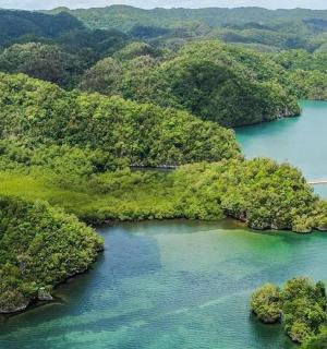 an aerial view of a group of islands in a river