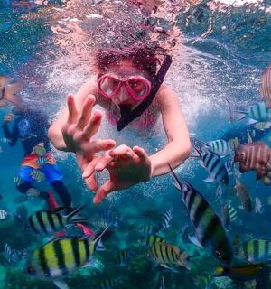 一个小女孩在水中和鱼一起游泳