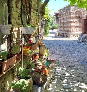 an alley with potted plants on the side of a building