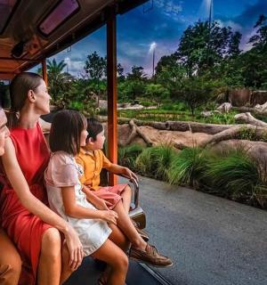一家人坐在电车上参观动物园