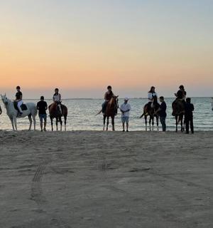 一群人在海滩上骑马