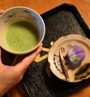 osoba držící šálek zelené tekutiny