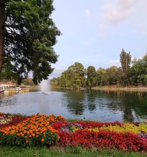 un parc cu un iaz cu flori și o fântână