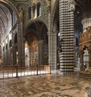 一座大教堂，里面有一间带柱子的大房间