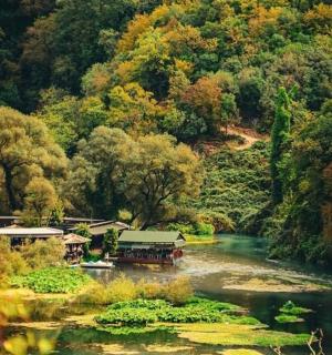 一条河，河中有一座房子，位于森林中间