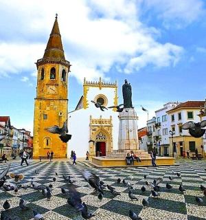 城市里有钟楼的教堂