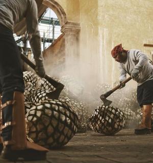 两名男子正在一家工厂里操作一台机器。