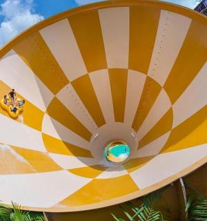 黄白相间的螺旋结构特写