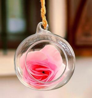 一朵粉红色的玫瑰花放在玻璃饰品里