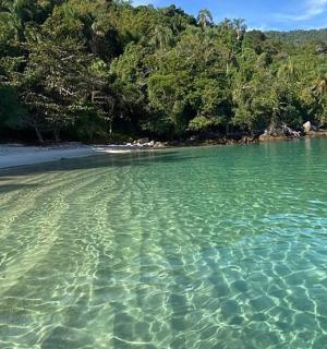 pláž s čistou vodou a stromy v pozadí