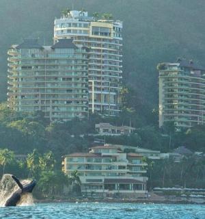 vaal vees hoonete ees