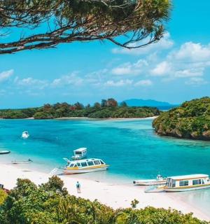 a group of boats on a beach in the water