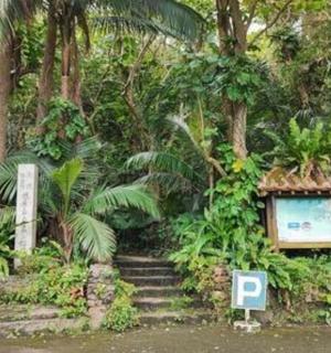 a set of stairs in a forest with trees