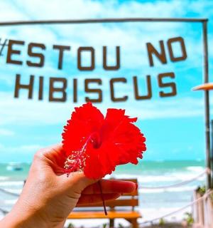 一个人手捧一朵红花站在海滩前