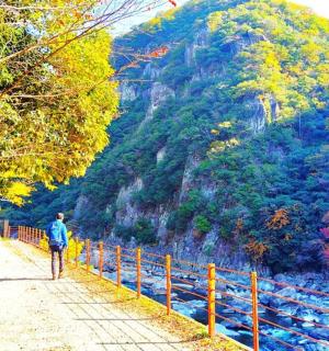a man walking down a path next to a mountain