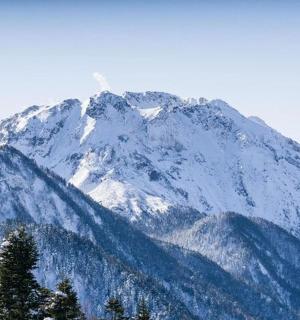 一座白雪皑皑的山，山前有树木