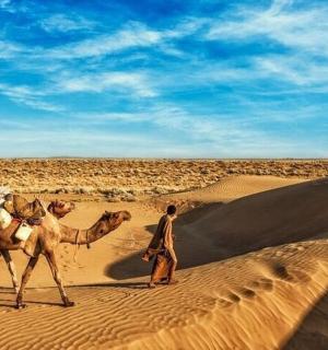 一名男子和两头骆驼在沙漠中行走