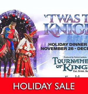 plakát k sváteční show se ženou na koni