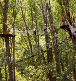 lidé na visutém mostě v lese