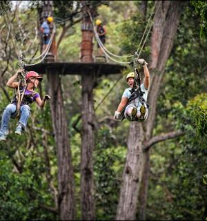 dva lidé na zip line ve stromech