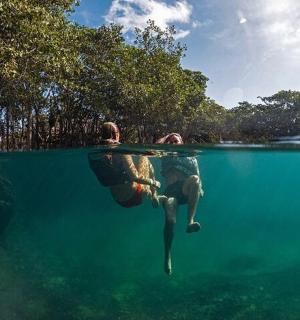 two people are swimming in a pool of water