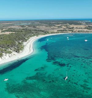 海滩鸟瞰图,水中停泊着船只