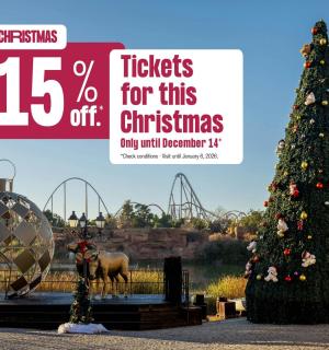 a christmas tree in front of a roller coaster