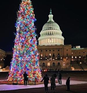国会大厦前的一棵圣诞树