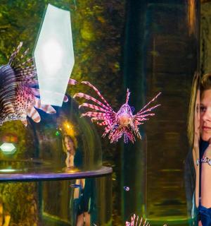 una donna in piedi accanto a una boccia di vetro con dei pesci