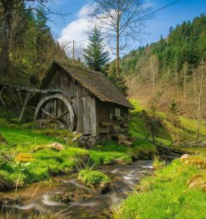 un vecchio fienile in un campo vicino a un ruscello