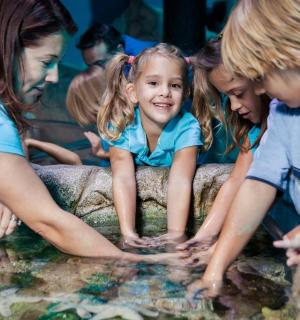 một nhóm các cô gái đang chơi trò chơi dưới nước