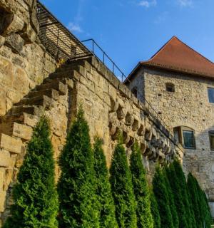 kamienny mur z drzewami obok budynku