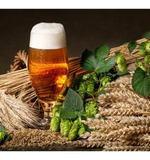 ein Glas Bier in einem Korb mit Brokkoli