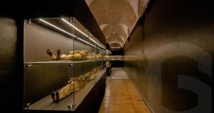a long hallway in a museum with shoes on display