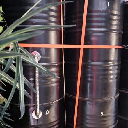 a group of black barrels sitting next to a plant