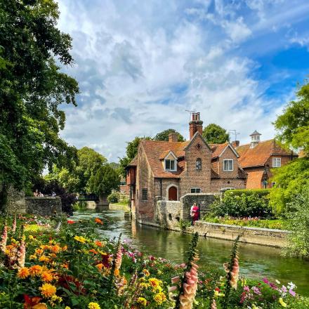 a group of houses and a river with flowers